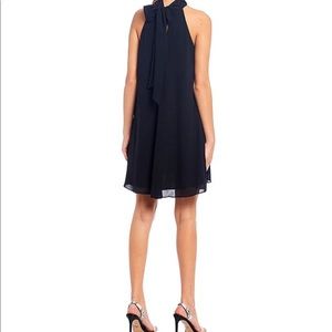COPY - Badgley Mischka Elise Turtleneck Sleeveless Trapeze Dress